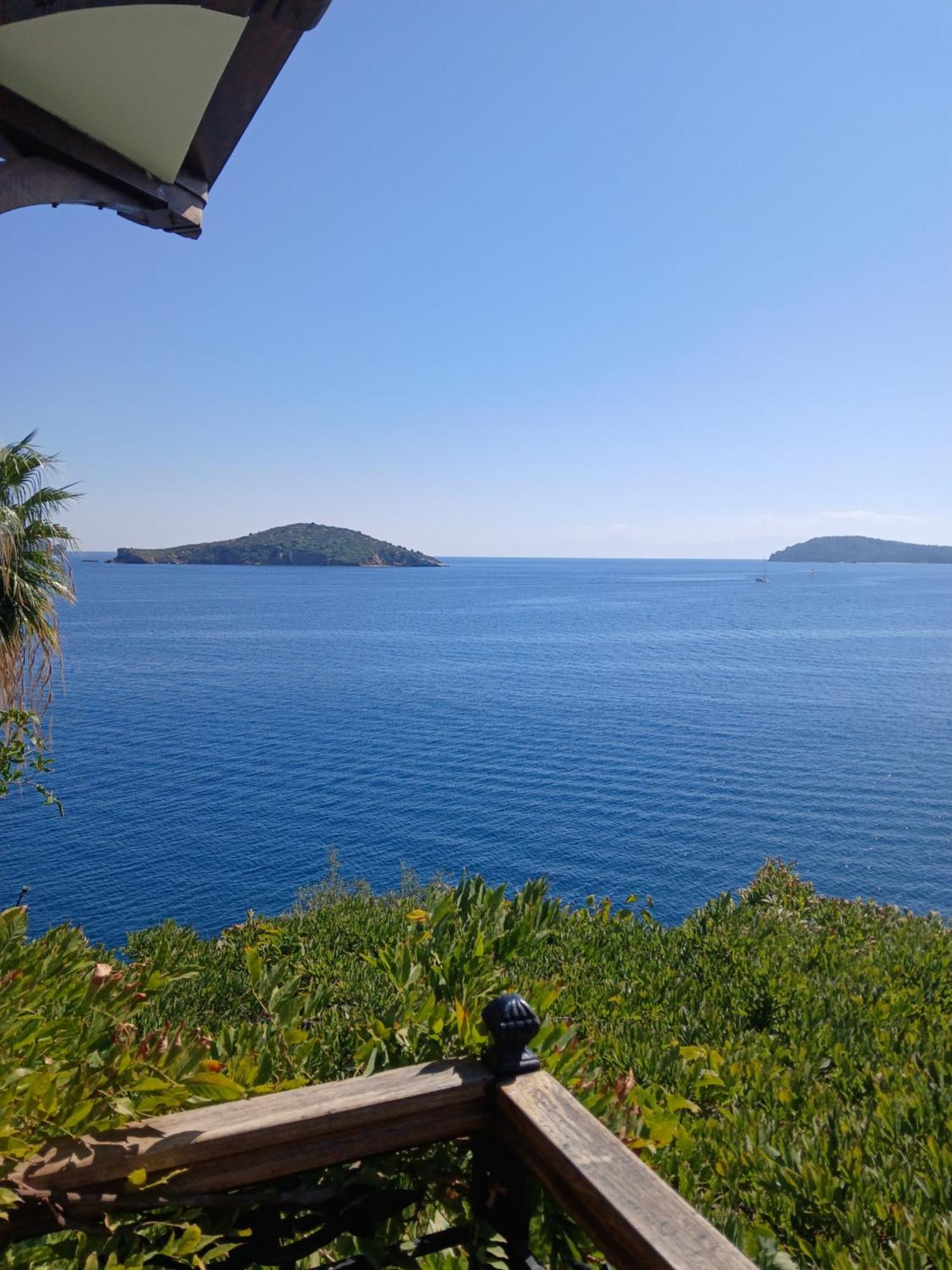 Hotel Villa Orsa مدينة سكياثوس المظهر الخارجي الصورة
